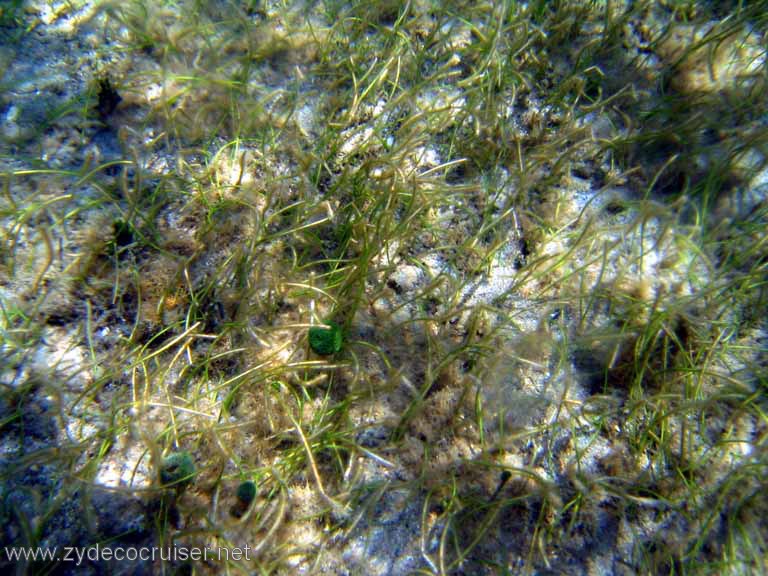 445: Sailing Yacht Arabella - British Virgin Islands - Cooper Island - Cistern Rock Snorkeling