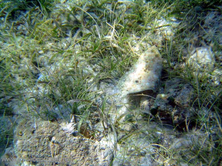 453: Sailing Yacht Arabella - British Virgin Islands - Cooper Island - Cistern Rock Snorkeling