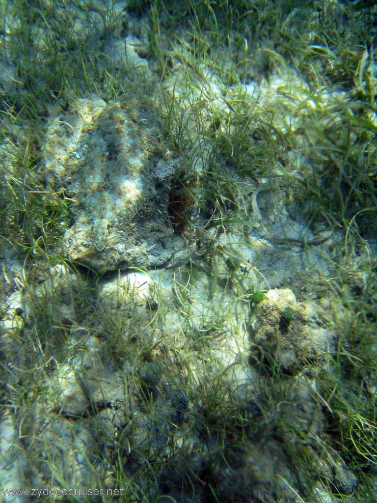 455: Sailing Yacht Arabella - British Virgin Islands - Cooper Island - Cistern Rock Snorkeling