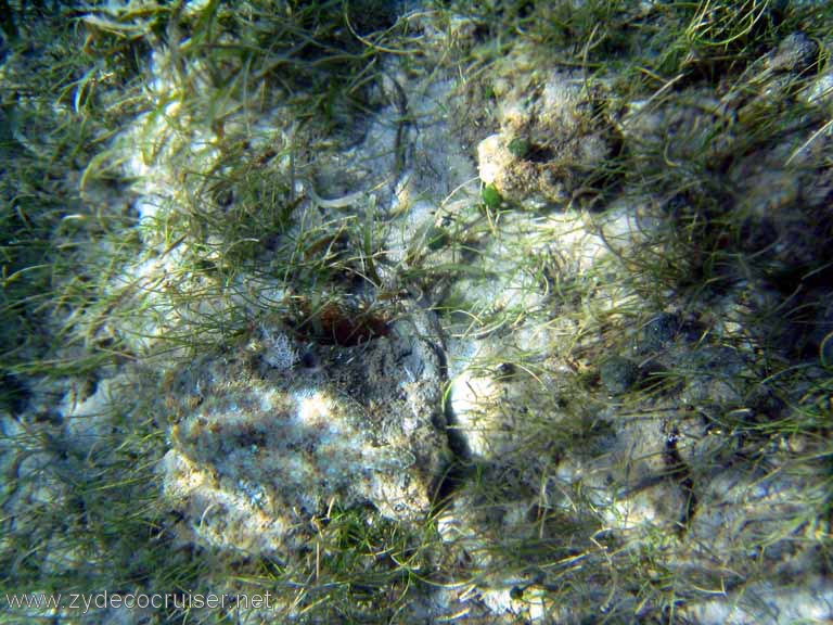 456: Sailing Yacht Arabella - British Virgin Islands - Cooper Island - Cistern Rock Snorkeling