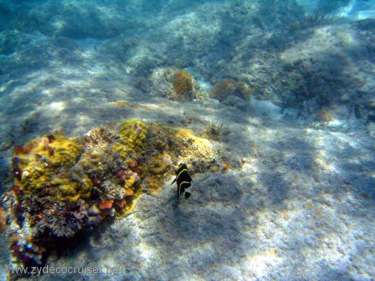 457: Sailing Yacht Arabella - British Virgin Islands - Cooper Island - Cistern Rock Snorkeling