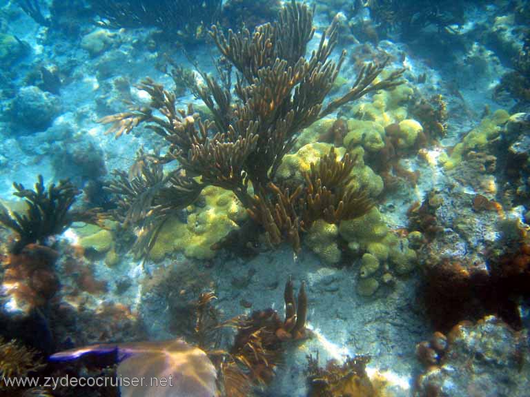 518: Sailing Yacht Arabella - British Virgin Islands - Jost Van Dyke Snorkeling - 