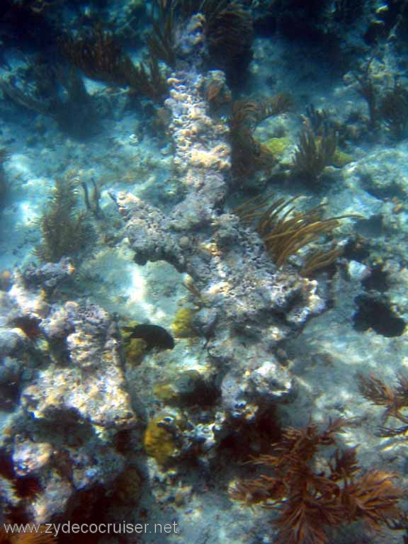 519: Sailing Yacht Arabella - British Virgin Islands - Jost Van Dyke Snorkeling - 