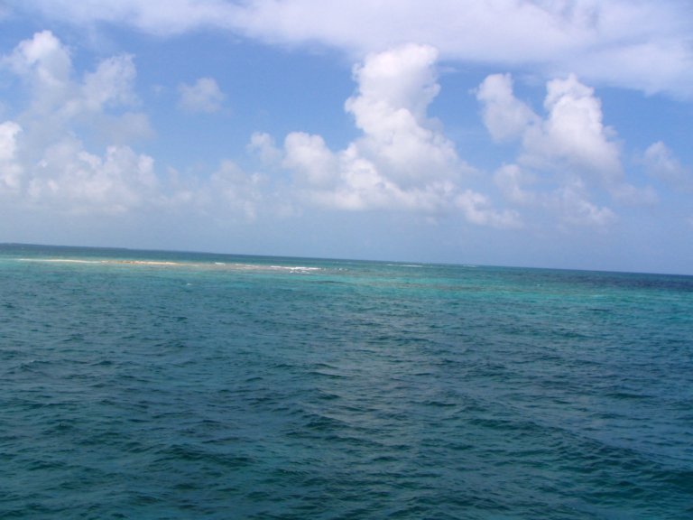 013: NCL Sun, Belize, Reef Snorkel and Banister Island, 