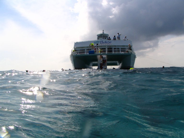 045: NCL Sun, Belize, Reef Snorkel and Banister Island, 