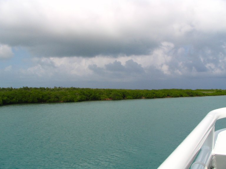 047: NCL Sun, Belize, Reef Snorkel and Banister Island, 