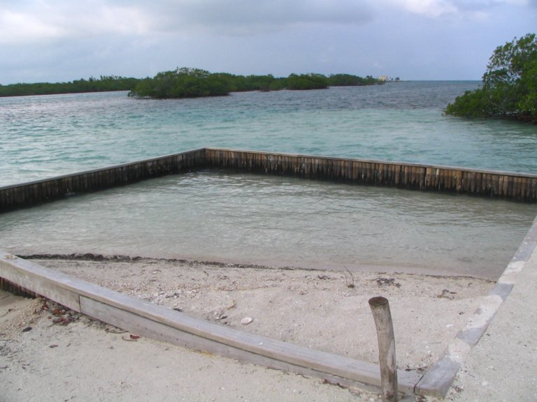 061: NCL Sun, Belize, Reef Snorkel and Banister Island, 