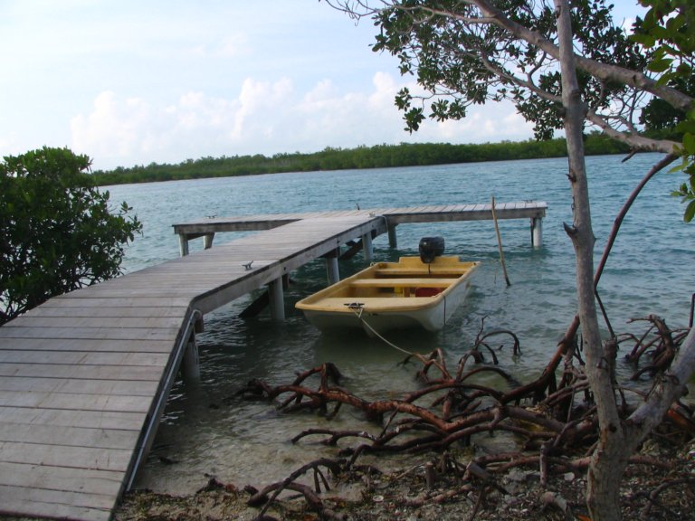 084: NCL Sun, Belize, Reef Snorkel and Banister Island, 