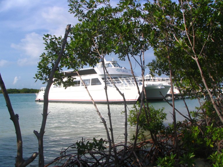 095: NCL Sun, Belize, Reef Snorkel and Banister Island, 