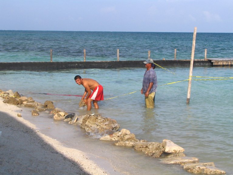 104: NCL Sun, Belize, Reef Snorkel and Banister Island, 