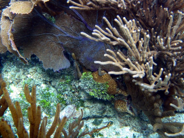 Costa Maya Tequila Beach Boat Snorkel 13