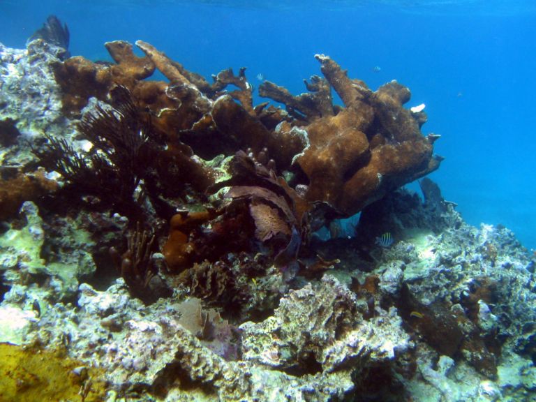 Costa Maya Tequila Beach Boat Snorkel 15