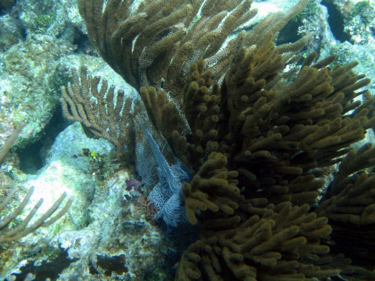 Costa Maya Tequila Beach Boat Snorkel 14