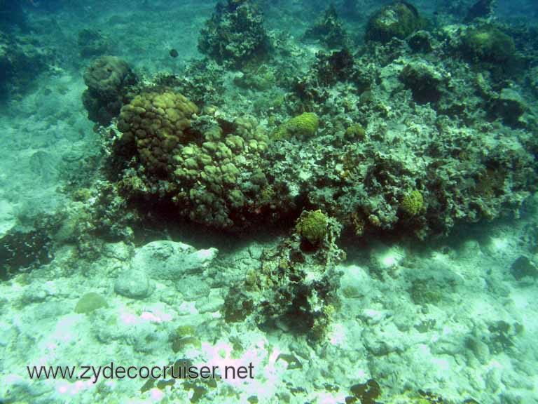 Cemetery Reef, Grand Cayman, 2007