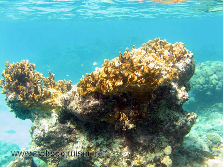 Cemetery Reef, Grand Cayman, zydecocruiser