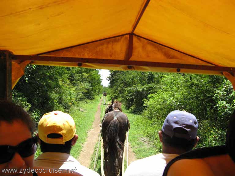 054: Carnival Fantasy, Progreso, Chelentun Cenote, Yucatan, Caves and Caverns Snorkeling Tour, 