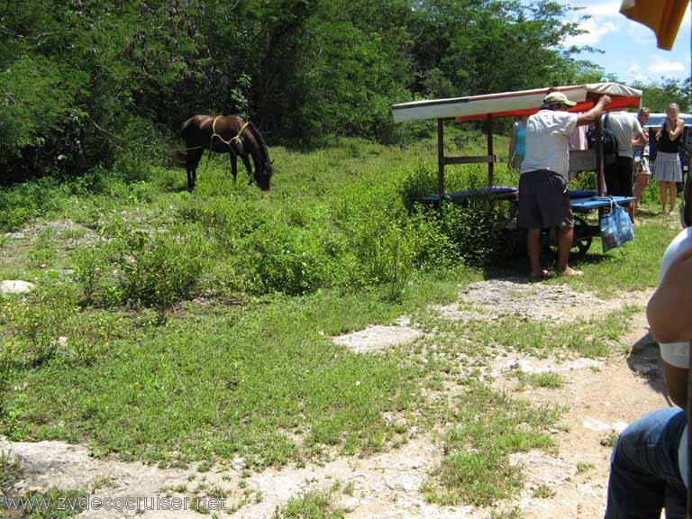 057: Carnival Fantasy, Progreso, Chelentun Cenote, Yucatan, Caves and Caverns Snorkeling Tour, 