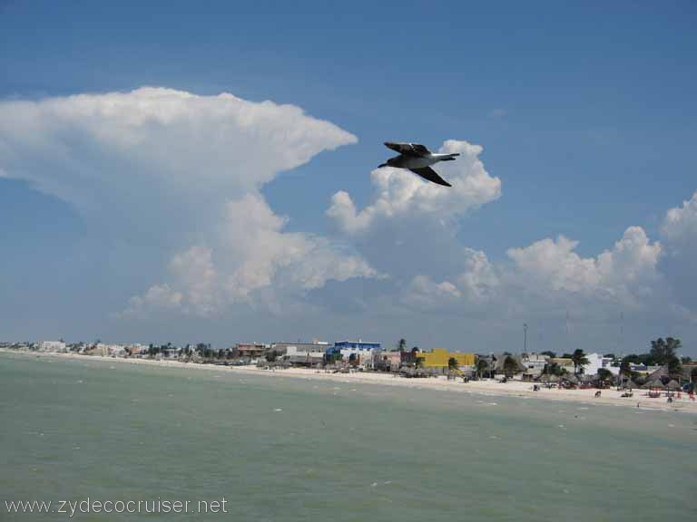 076: Carnival Fantasy, Progreso, Caves and Caverns Snorkeling Tour, 