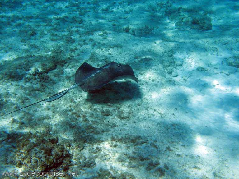 Punta Sur, Dec 2007, Zydecocruiser