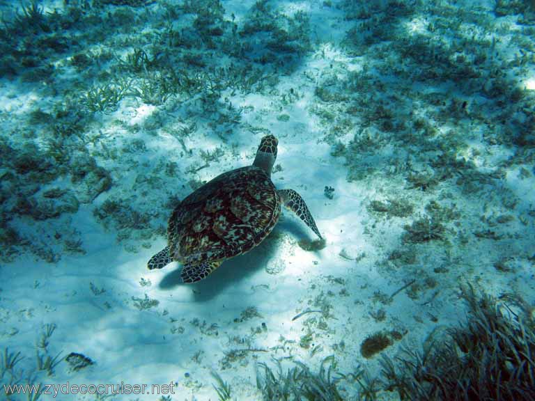 Punta Sur, Dec 2007, Zydecocruiser