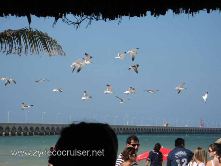 109: Carnival Fantasy, Progreso, MX, Le Saint Bonnet