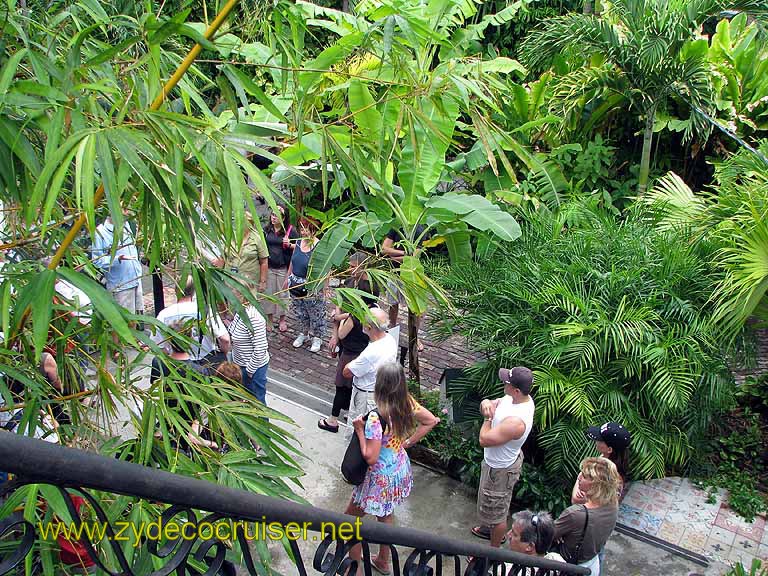 094: Carnival Freedom - Key West - Hemmingway Home