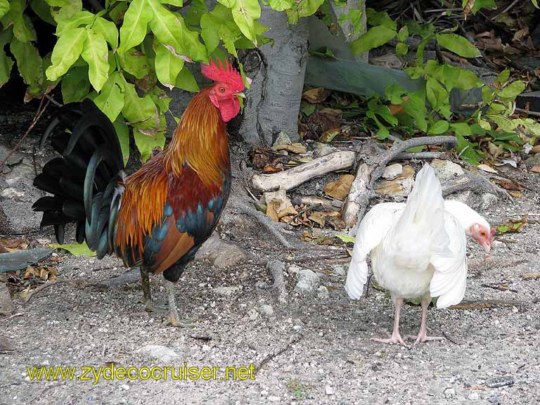 108: Carnival Freedom - Key West 