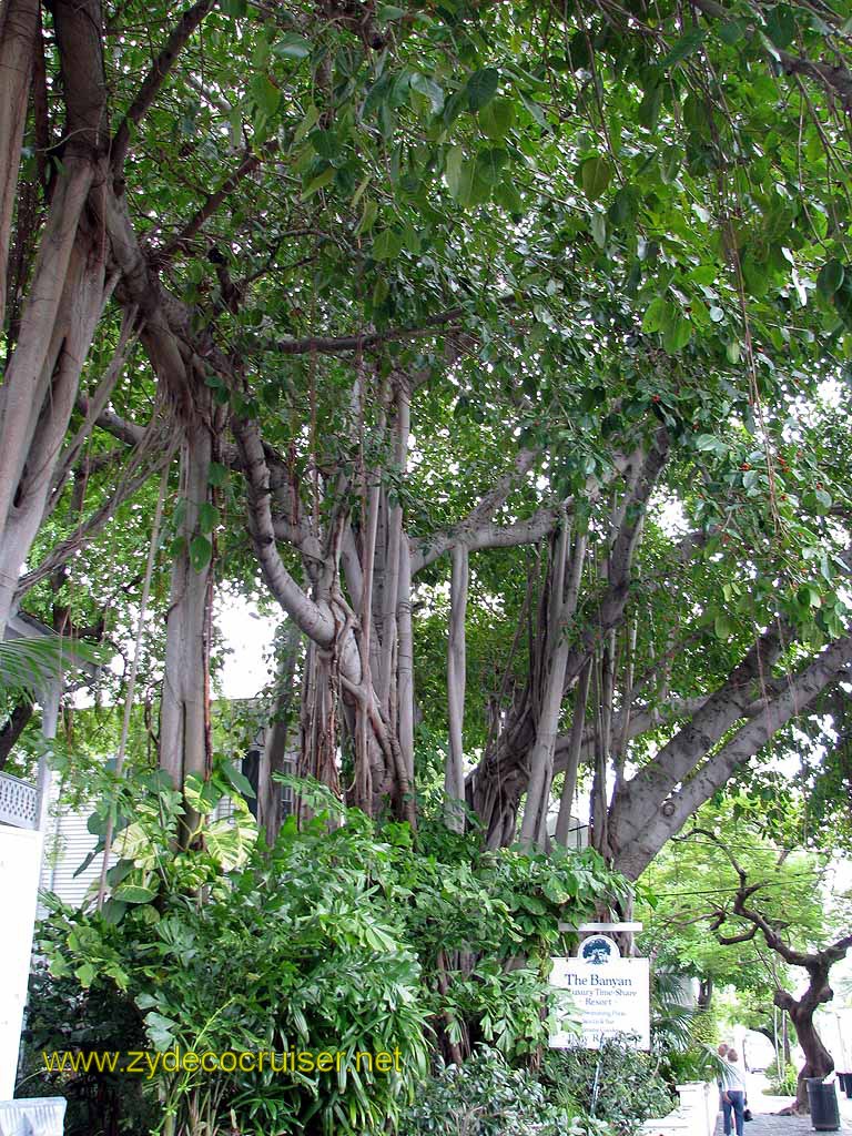 109: Carnival Freedom - Key West - The Banyan