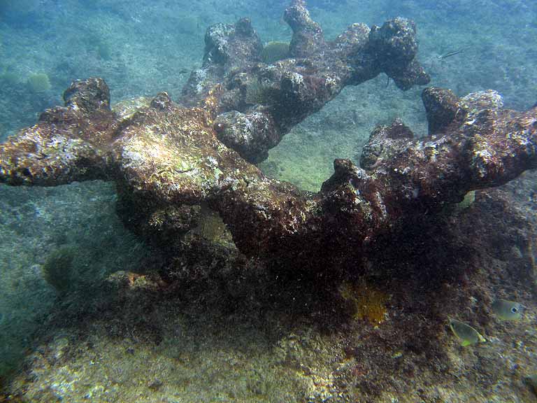 059: Carnival Freedom - Grand Cayman - Eden Rock Snorkel