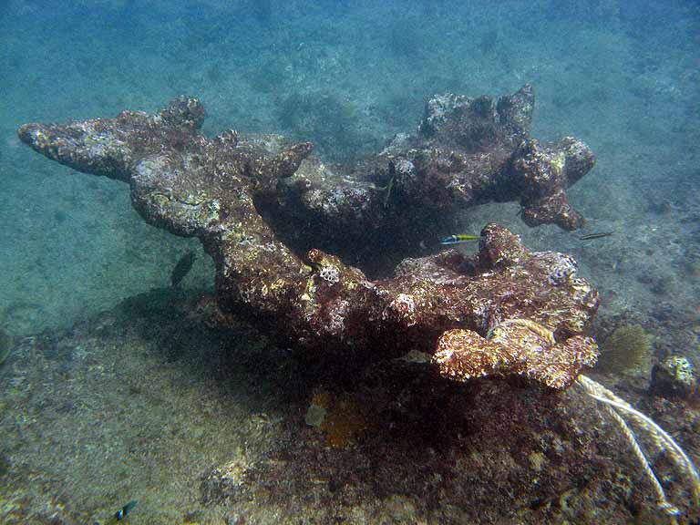 060: Carnival Freedom - Grand Cayman - Eden Rock Snorkel