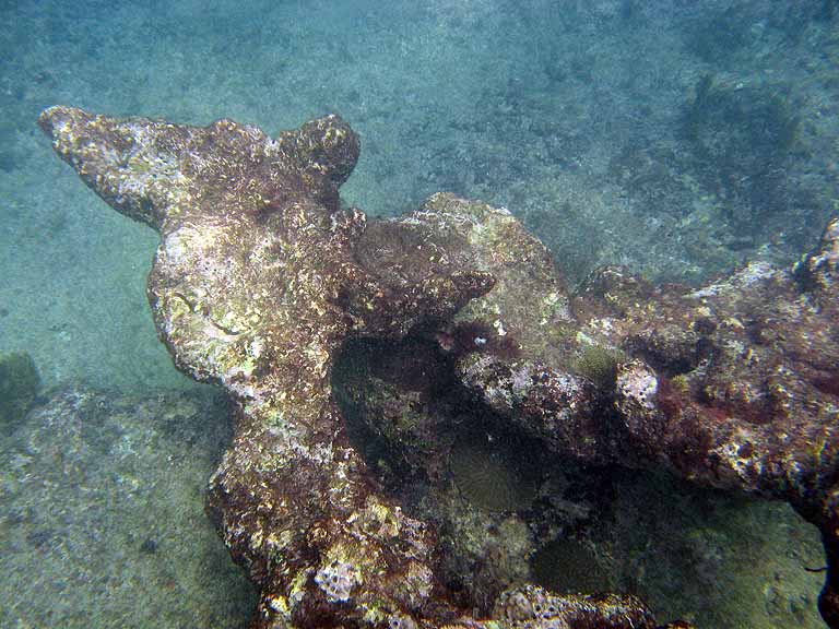 061: Carnival Freedom - Grand Cayman - Eden Rock Snorkel