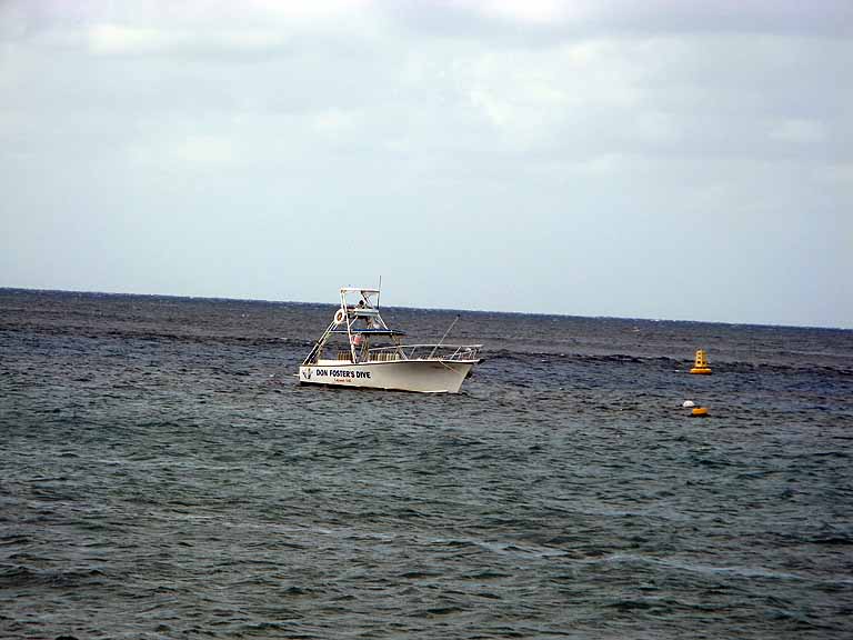 074: Carnival Freedom - Grand Cayman - another Don Foster's Dive Boat