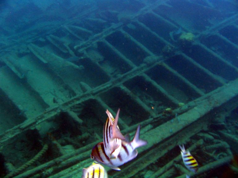 Wreck of the Cali, Grand Cayman