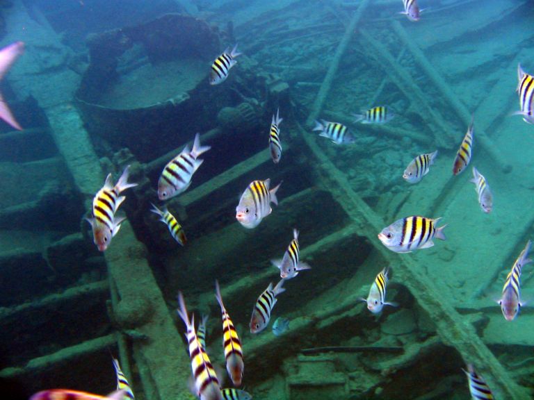 Wreck of the Cali, Grand Cayman