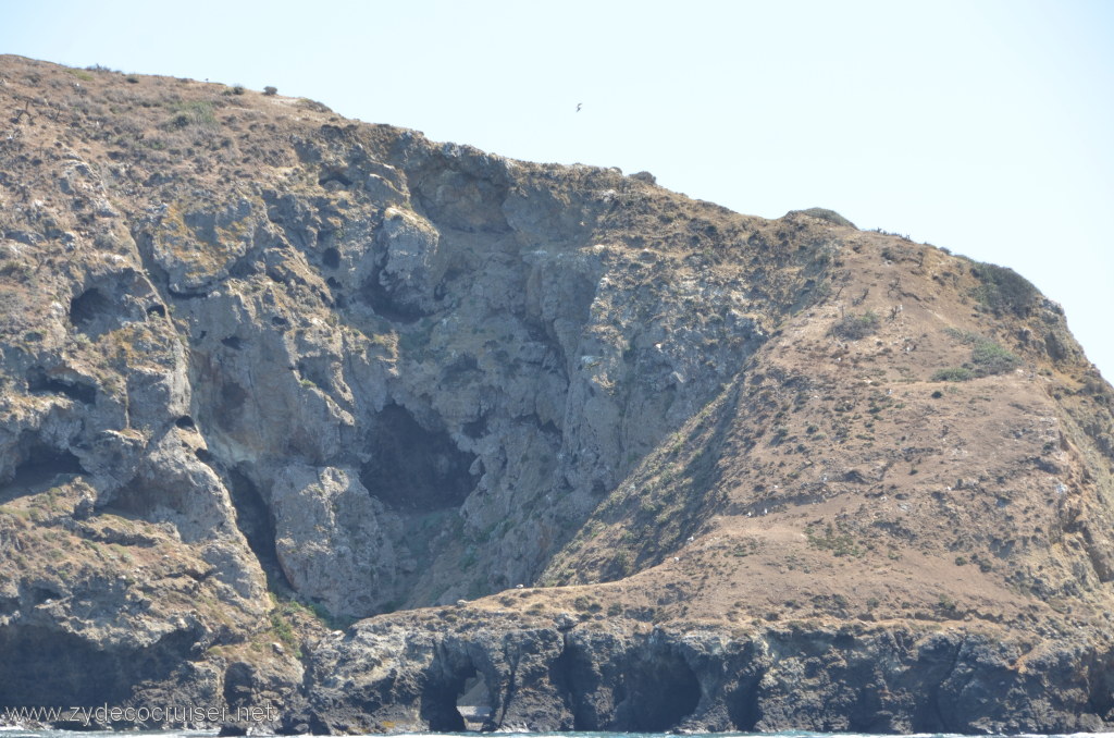 064: Island Packers, Island Wildlife Cruise, Anacapa Island, 