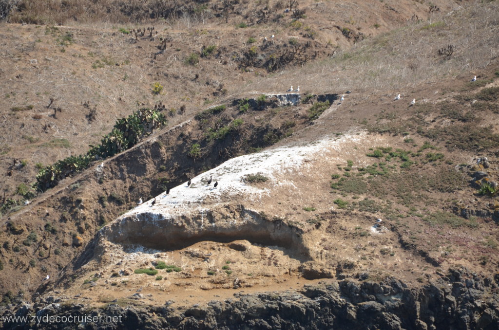 077: Island Packers, Island Wildlife Cruise, Anacapa Island, 