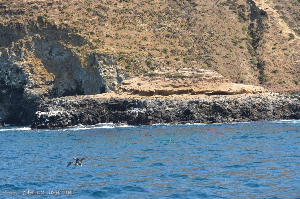 082: Island Packers, Island Wildlife Cruise, Anacapa Island, 