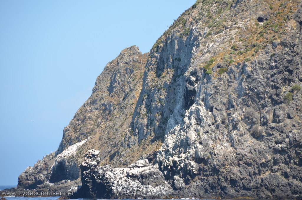 087: Island Packers, Island Wildlife Cruise, Anacapa Island, 