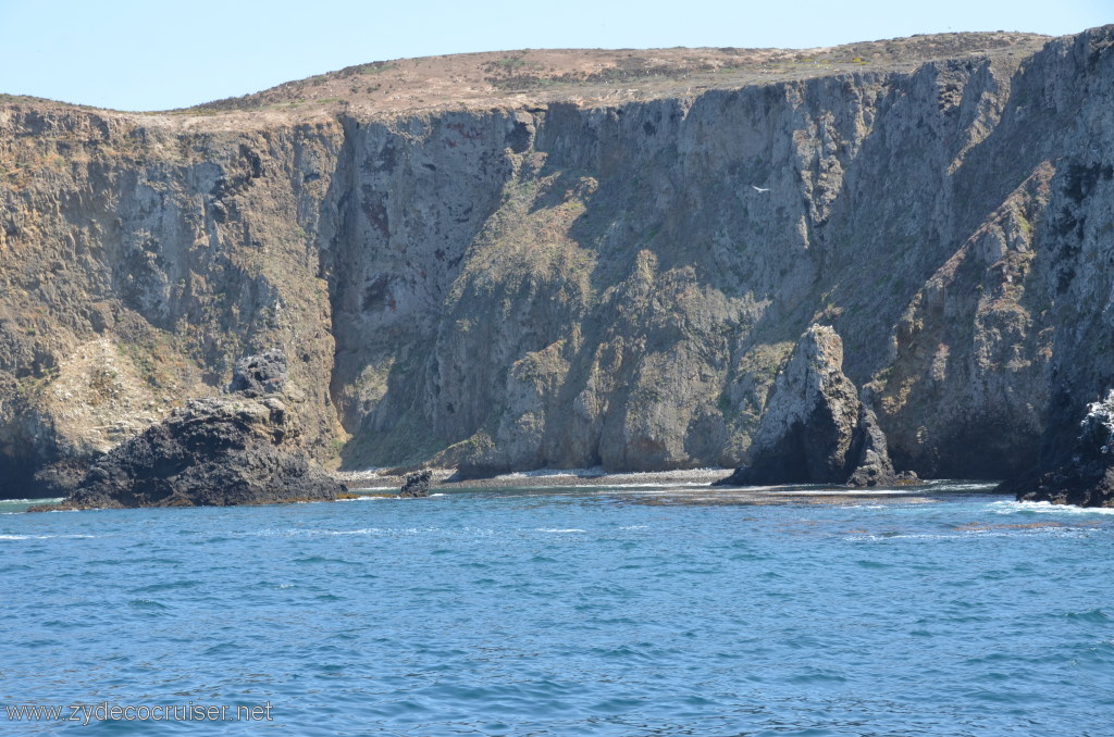 100: Island Packers, Island Wildlife Cruise, Anacapa Island, 