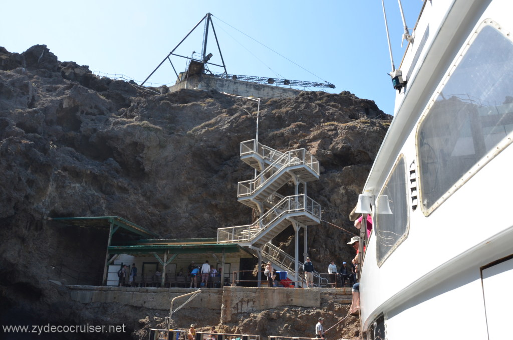 117: Island Packers, Island Wildlife Cruise, Anacapa Island, 