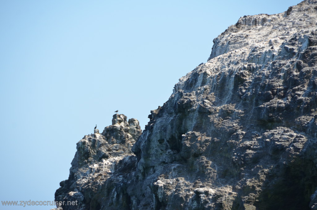 135: Island Packers, Island Wildlife Cruise, Anacapa Island, 