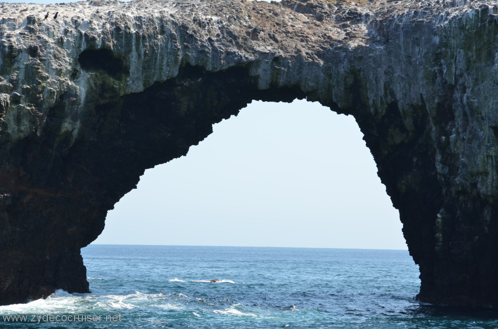 136: Island Packers, Island Wildlife Cruise, Anacapa Island, Arch Rock