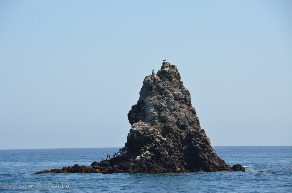 141: Island Packers, Island Wildlife Cruise, Anacapa Island, 