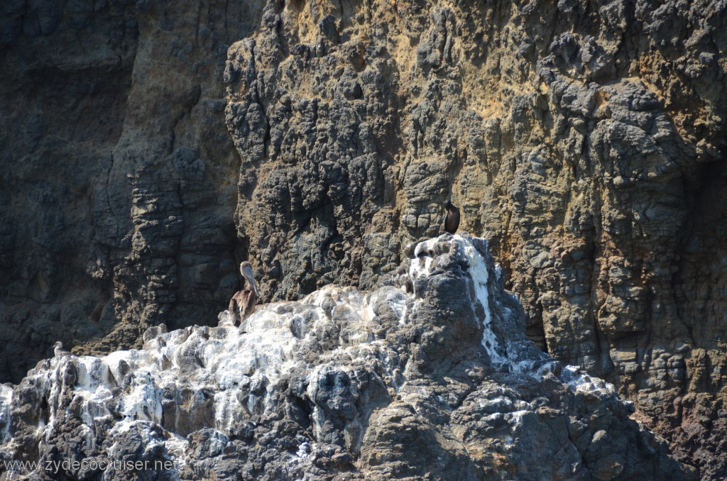 157: Island Packers, Island Wildlife Cruise, Anacapa Island, 