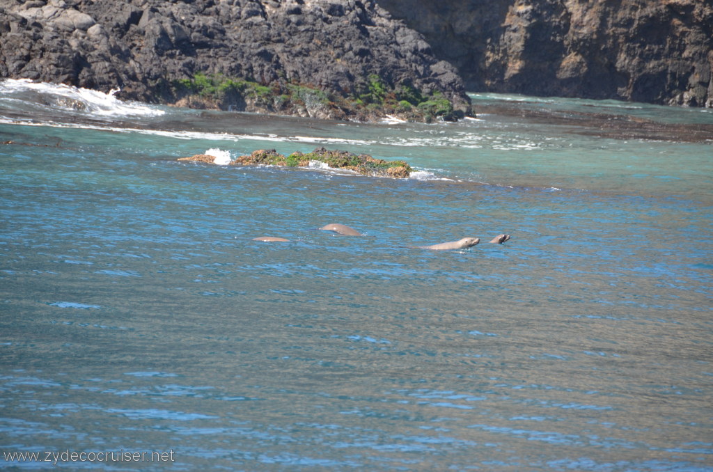 166: Island Packers, Island Wildlife Cruise, Anacapa Island, 