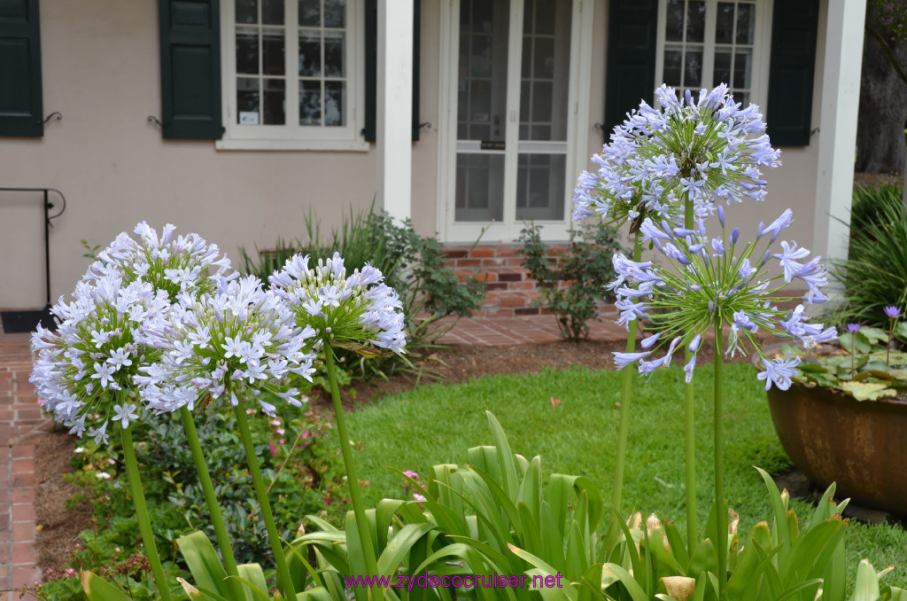 008: Oak Alley Plantation, 