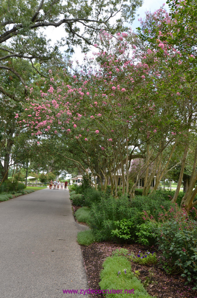 014: Oak Alley Plantation, 