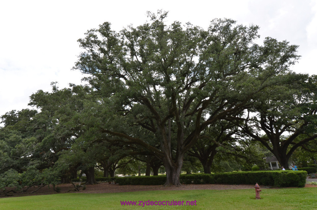 016: Oak Alley Plantation, 