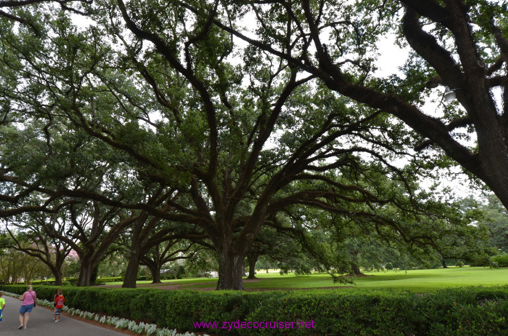 019: Oak Alley Plantation, 