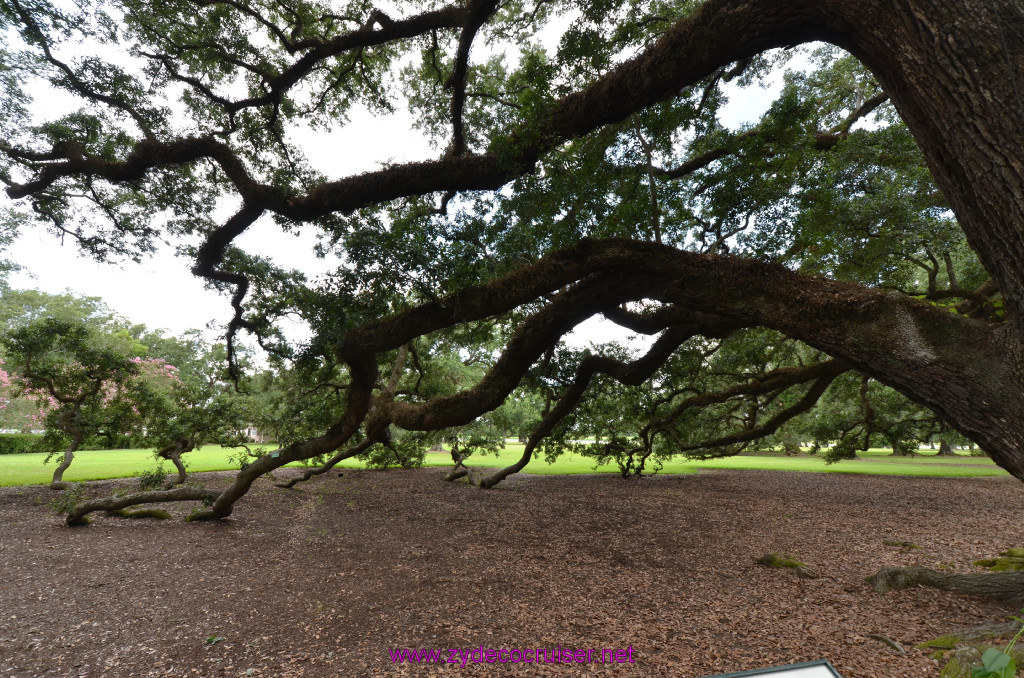 024: Oak Alley Plantation, 